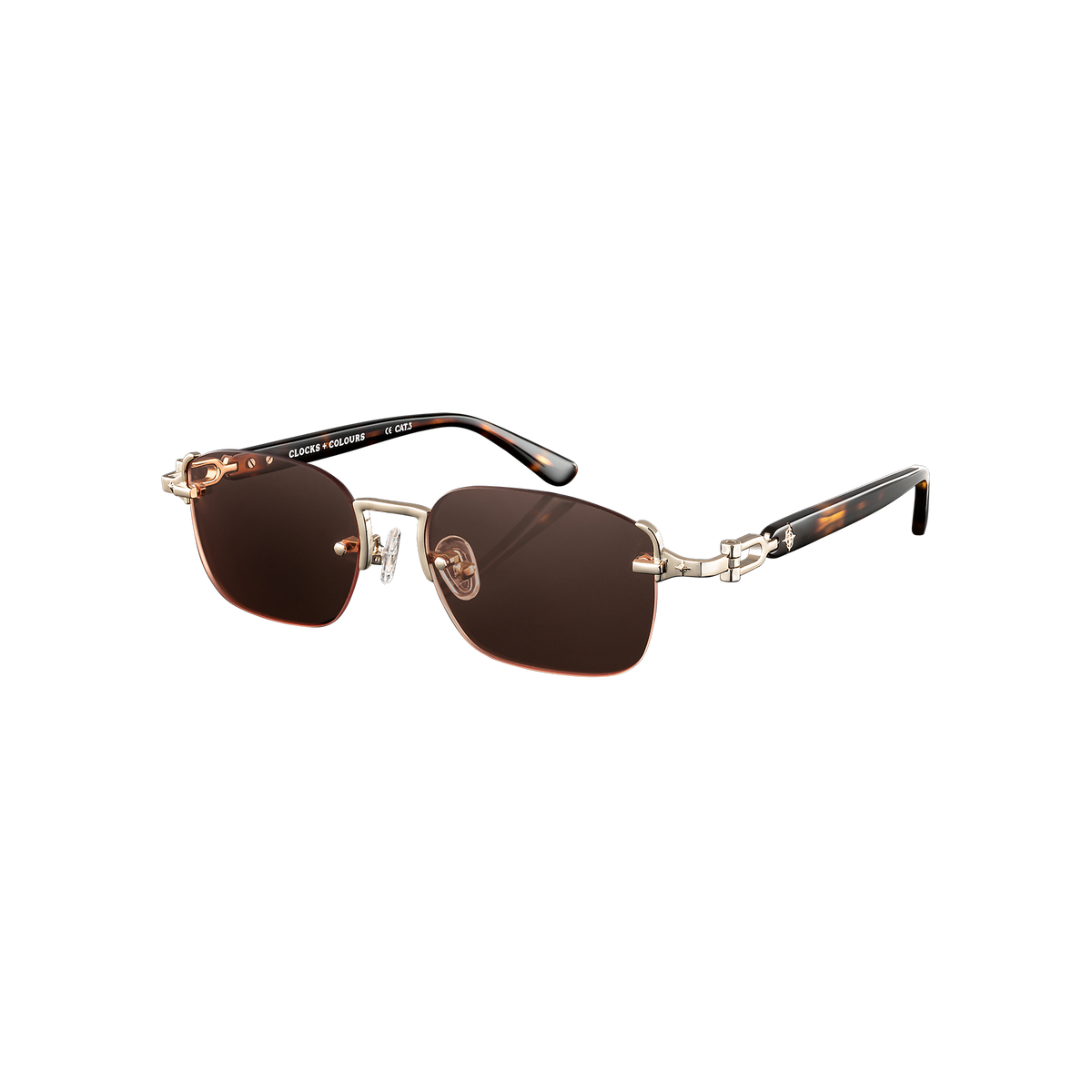 Avenue x Tortoise