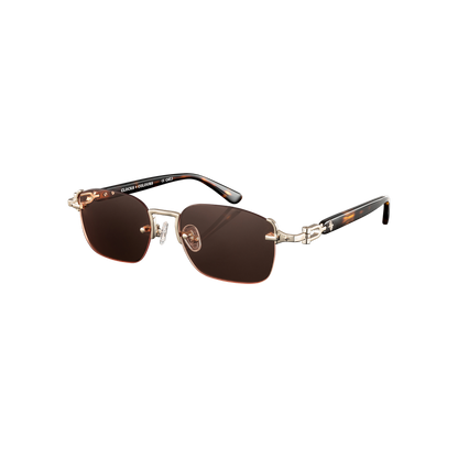 Avenue x Tortoise