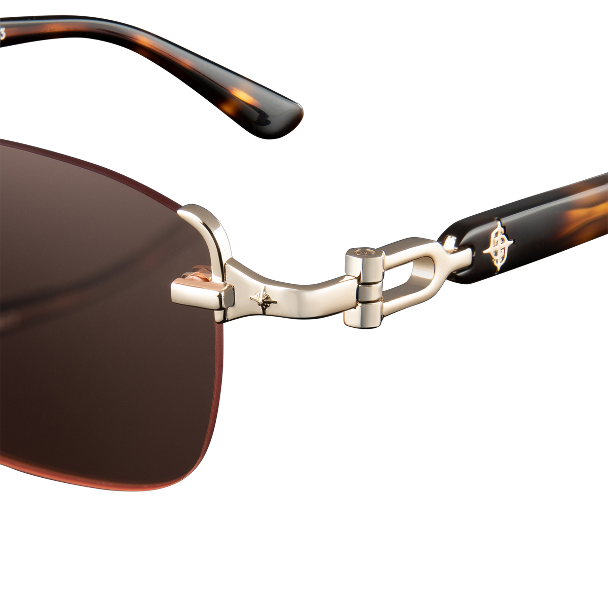 Avenue x Tortoise