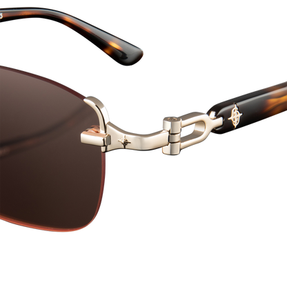 Avenue x Tortoise