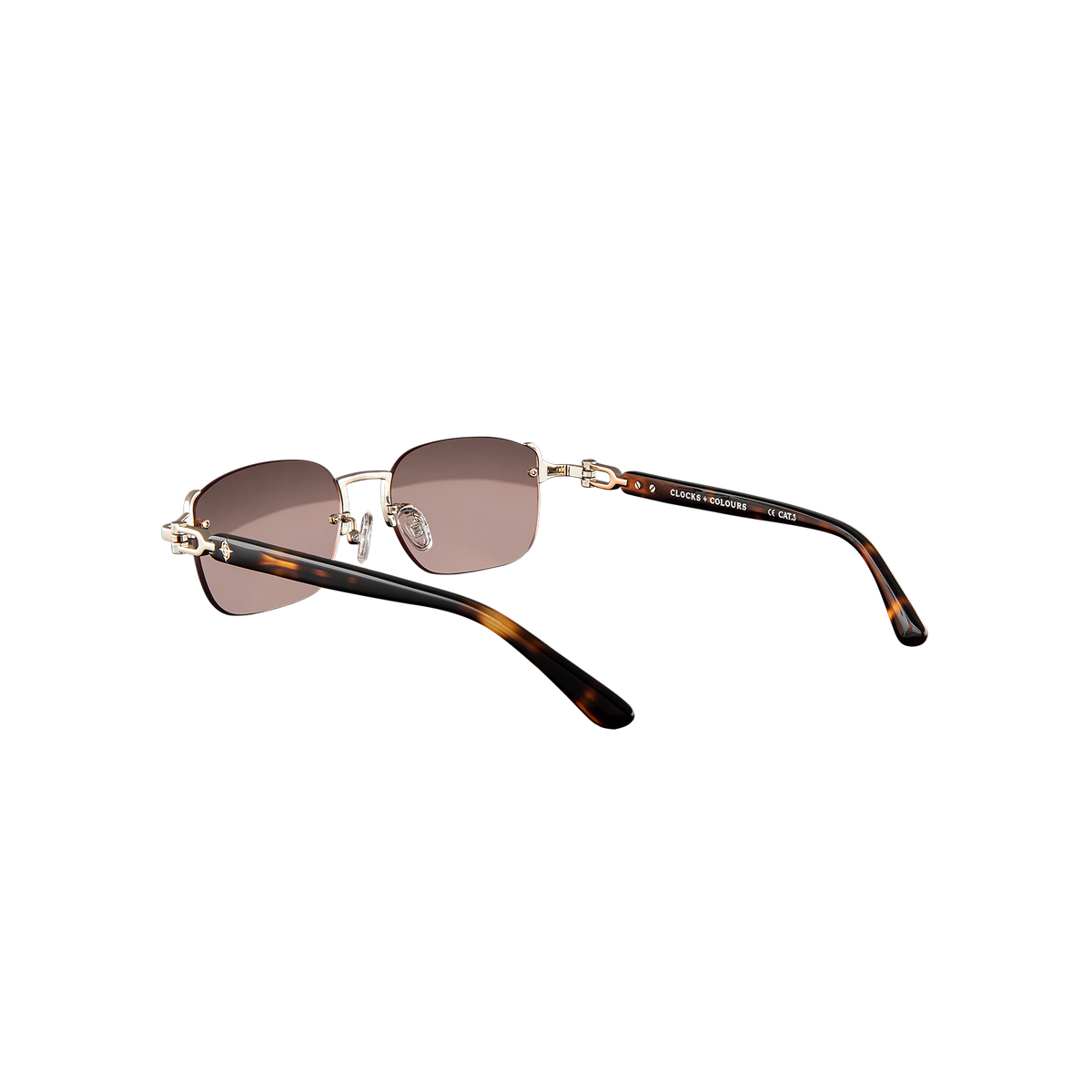 Avenue x Tortoise