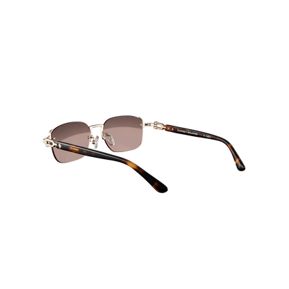 Avenue x Tortoise