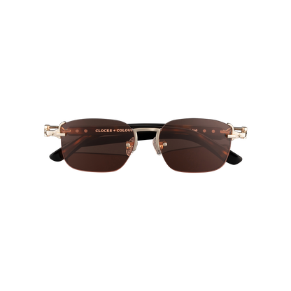 Avenue x Tortoise