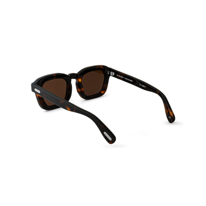 Tarmac x Tortoise