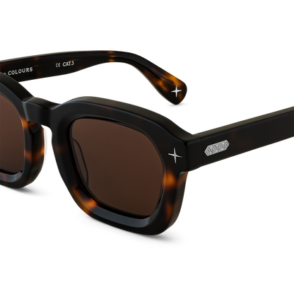 Tarmac x Tortoise