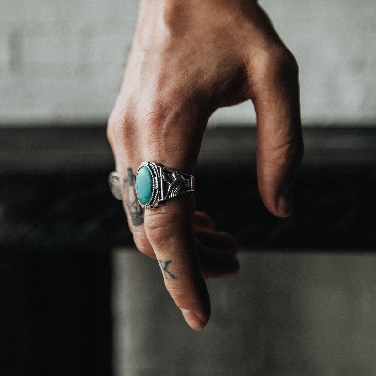 Voyageur x Peter McKinnon